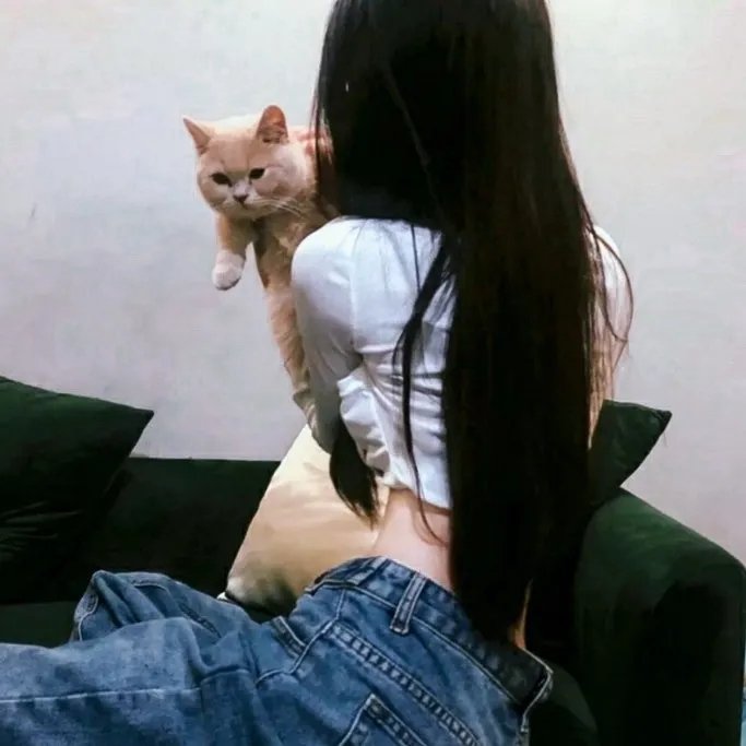 数码特工